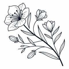 minimal botanical graphic sketch line art drawing, trendy tiny tattoo design, floral elements vector illustration
