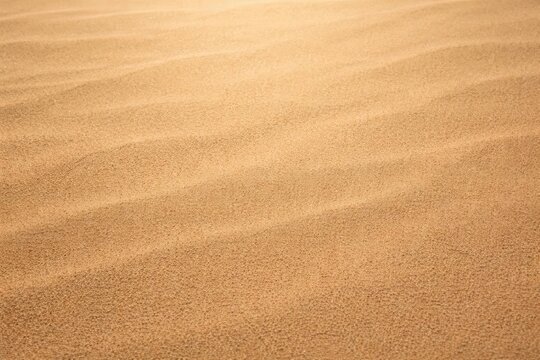brown sand smooth grain background under soft daylight with copy space