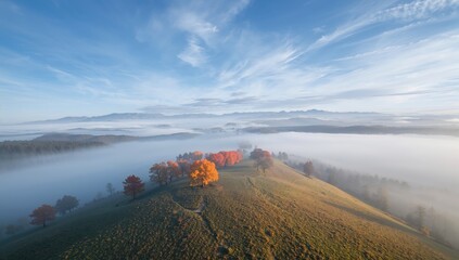 Aerial perspective of orange groves on a hill with mountains in the distance at dawn in autumn, highlighting seasonal change and terrain