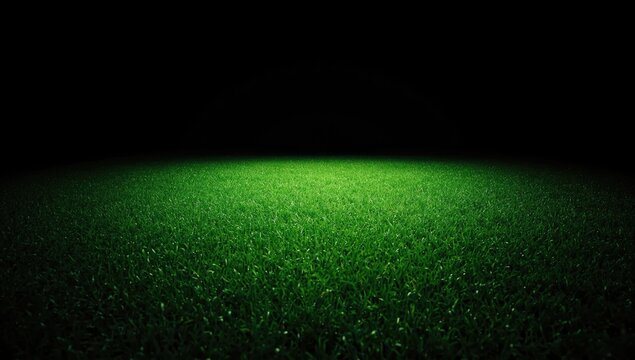 High-resolution green grass pattern used as a background for editorial headers, Earth Day