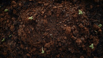 Soil surface pattern serving as a backdrop for graphic design and informational content