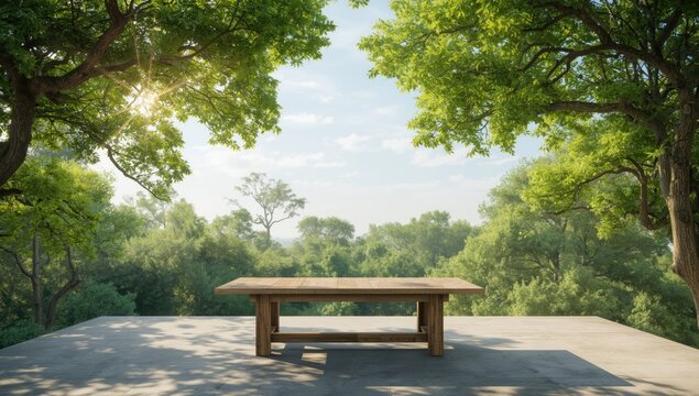 Sunlit trees in a natural setting, illustrating biodiversity and environmental health