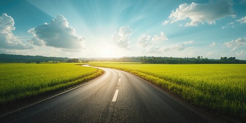 Rural rice paddies alongside a paved road, emphasizing agricultural infrastructure and landscape preservation