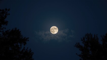 Fototapeta premium Bright summer full moon illuminating a clear night sky for celestial observation