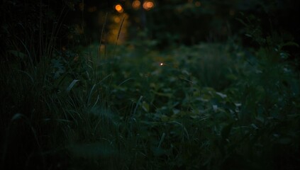 Naklejka premium Firefly activity in dense forest at night in Prachinburi Thailand, emphasizing natural light for ecological studies