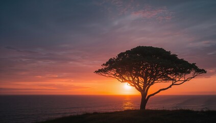 Tree in the sunset, used as an editorial header background emphasizing seasonal change