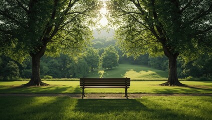 Peaceful outdoor scene with lush greenery and open space, suitable for recreational use