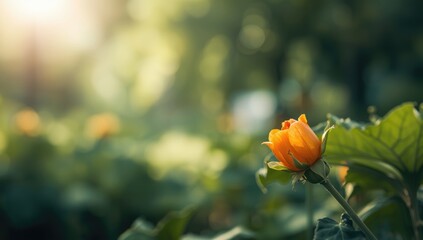 Pumpkin blossom details used as a textured backdrop for fall-themed layouts