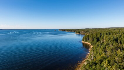 Serene waters of Lake Saimaa alongside untouched forest, highlighting environmental protection day