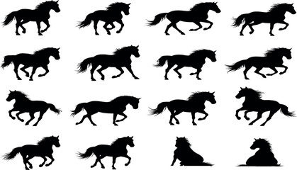Obraz premium Collection of 15 black horse silhouettes in various running and standing poses on white background