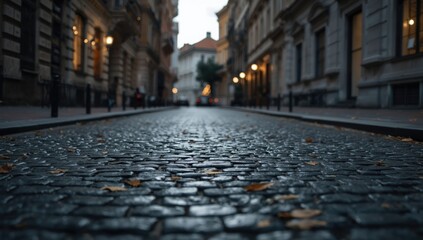 Urban pathway paved with cobblestones featuring classic charm and functional surface, cultural heritage day