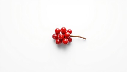 Fototapeta premium Isolated hawthorn berries from wild trees arranged on a white backdrop, emphasizing natural fruit collection for food use