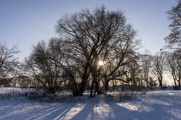 winterliche Schneelandschaft  auf den Feldern und &Auml;ckern im Norden von Berlin, Berlin-L&uuml;bars, Reinickendorf, Deutschland
