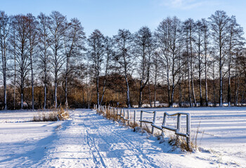 winterliche Schneelandschaft  auf den Feldern und &Auml;ckern im Norden von Berlin, Berlin-L&uuml;bars, Reinickendorf, Deutschland