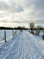 winterliche Schneelandschaft  auf den Feldern und &Auml;ckern im Norden von Berlin, Berlin-L&uuml;bars, Reinickendorf, Deutschland