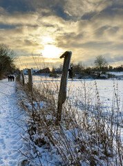 winterliche Schneelandschaft  auf den Feldern und &Auml;ckern im Norden von Berlin, Berlin-L&uuml;bars, Reinickendorf, Deutschland