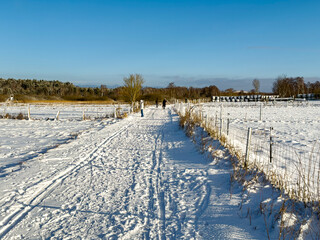 winterliche Schneelandschaft  auf den Feldern und &Auml;ckern im Norden von Berlin, Berlin-L&uuml;bars, Reinickendorf, Deutschland