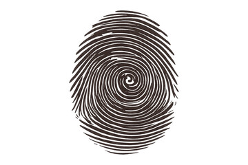 Fingerprint spiral pattern providing biometric security and unique personal identity on transparent background
