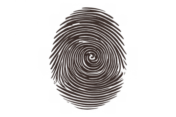 Fingerprint spiral pattern providing biometric security and unique personal identity on transparent background