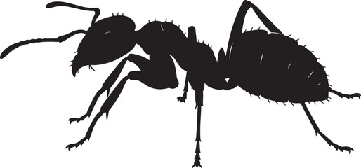 Black Silhouette of an Ant with Detailed Legs and Antennae also transparent background insect © Pixel With MH