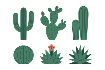 Desert Cactus and Succulent Plants Illustration Set