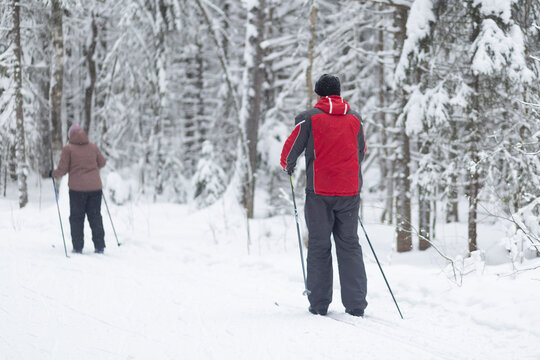 Cross-country skiing in winter
