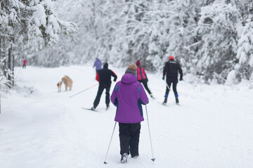 Nordic walking in the park in winter.