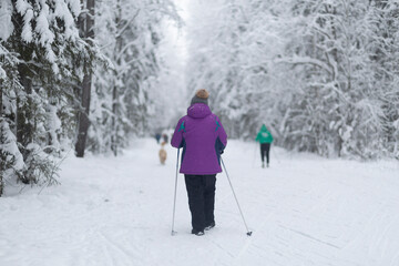 Nordic walking in the park in winter.