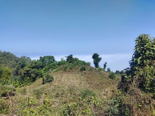 Environmental Damage Due To Deforestation On Tropical Green Hills