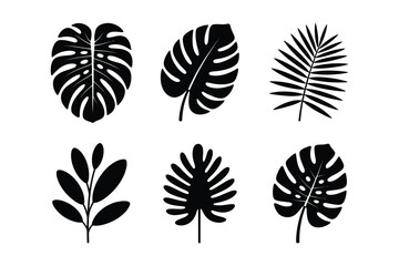 Tropical leaf silhouettes including monstera and palm
