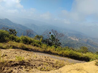 Aerial View of Countryside Roadway Surrounded by Tropical Nature