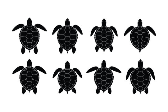 Sea turtle silhouettes with decorative shell pattern designs