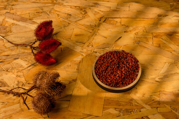 Annatto tree bixa orellana seeds 