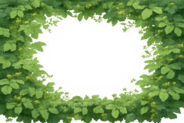 Green foliage border with natural leaves framing transparent copyspace, creating a botanical organic design element