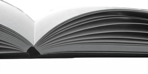 Open book with layered pages forming soft curved lines in monochrome light. Minimal closeup highlights paper texture and flowing symmetry. Clean editorial background ideal for education, publishing, a