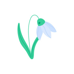 Snowdrop flower vector illustration. Minimal delicate spring blossom symbolizing renewal, purity, and the first sign of awakening nature