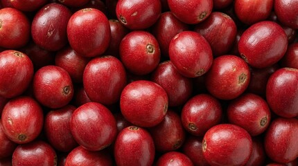 Macro close up texture of fresh red coffee cherries