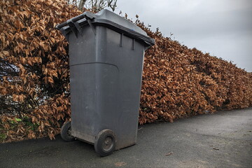 Wheelie bin on a street