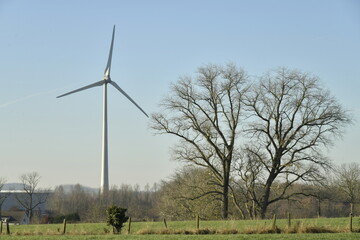 Fototapeta premium Éolienne dominant de haut un paysage rural de prairies et de bois à Ghislenghien (Ath) 