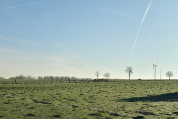 Arbre isol&eacute;s et une &eacute;olienne dans une immense prairie sous un ciel &agrave; contre jour d'hiver &agrave; Ghislenghien (Ath) 