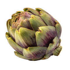 Fototapeta premium Fresh artichoke on white background isolated on transparent background