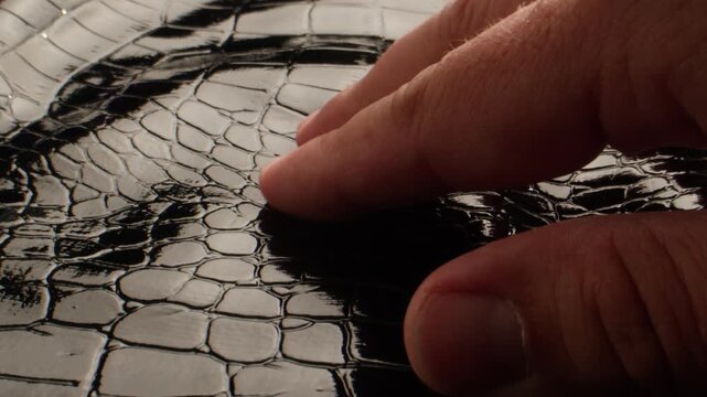 studio shot highlighting reflective crocodile skin textures with high contrast and wet look