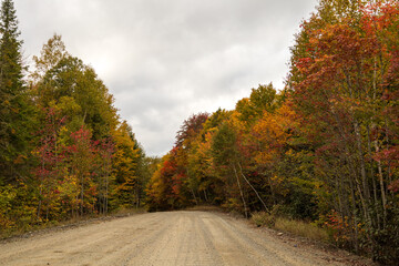 Golden Road, Millinocket, ME