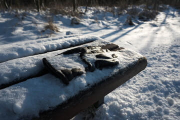 A park bench covered in snow and a forgotten glove.
