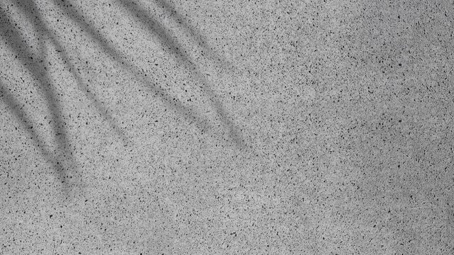 Shadow of palm tree moving gently in the wind on grey concrete stucco wall background in summer sun, backdrop	
