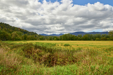 Fototapeta premium Rural Field Landscape with Distant Mountain View