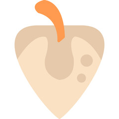Physalis Icon