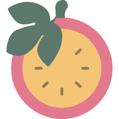 Passion Fruit Slice Icon