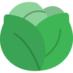 Cabbage Icon