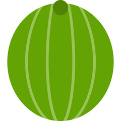 Watermelon Icon